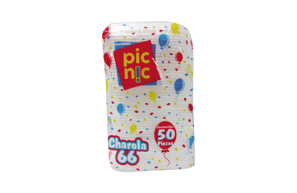 CHAROLA PICNIC 66 50'S