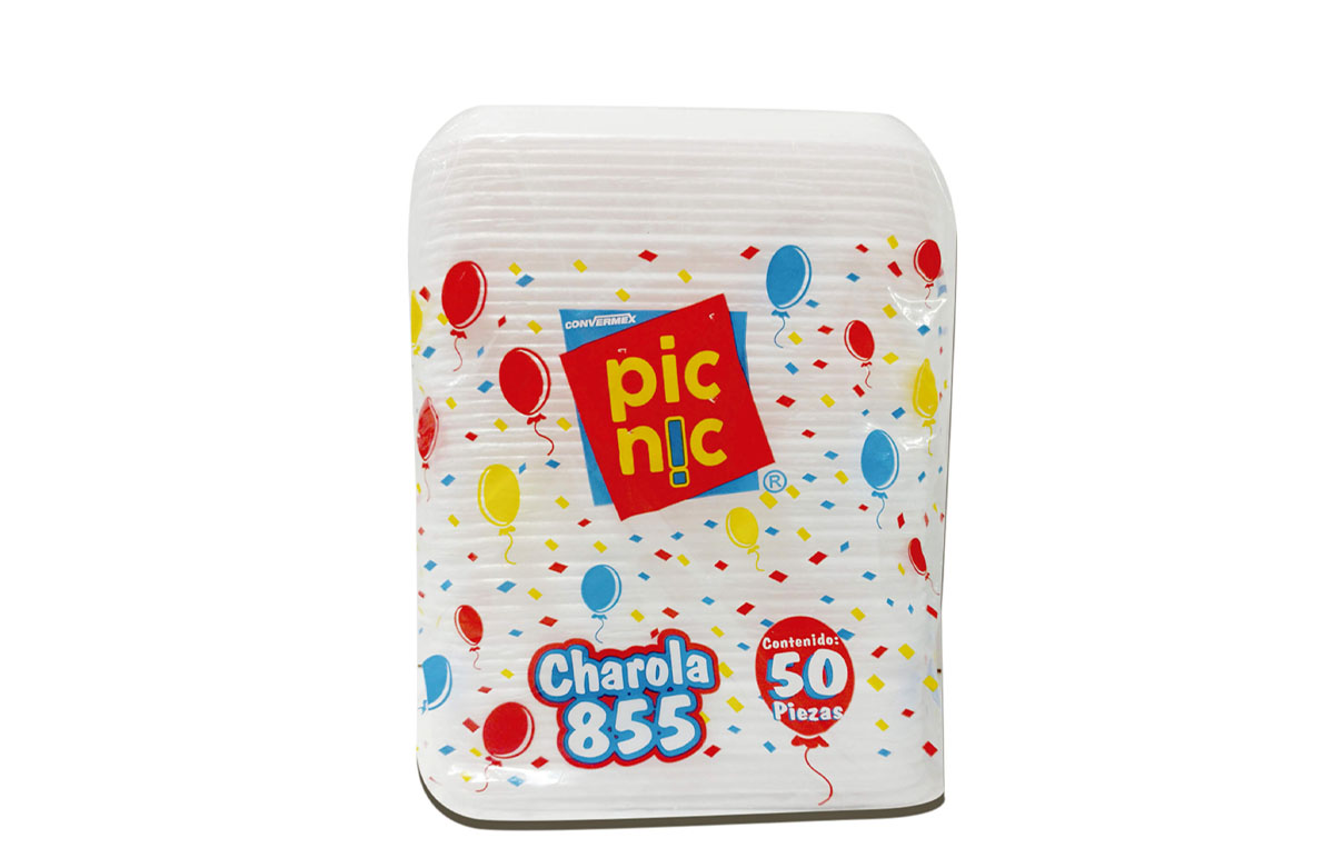 CHAROLA PICNIC 855 50'S